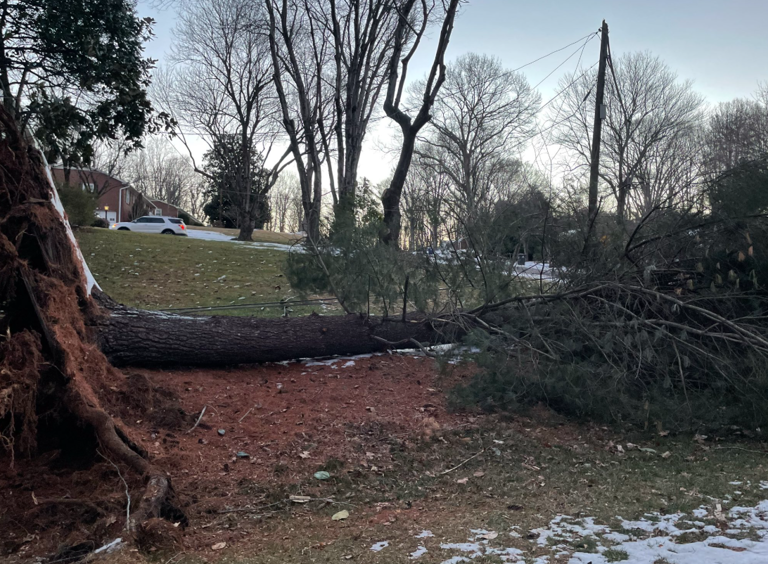 Downed power lines, trees cause road closures across the Piedmont Triad ...