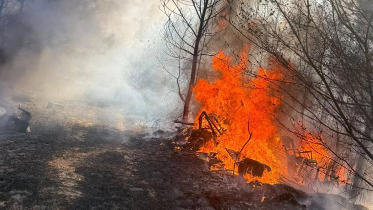 Baldwin County fire crews battle a pair of brush fires for over two ...