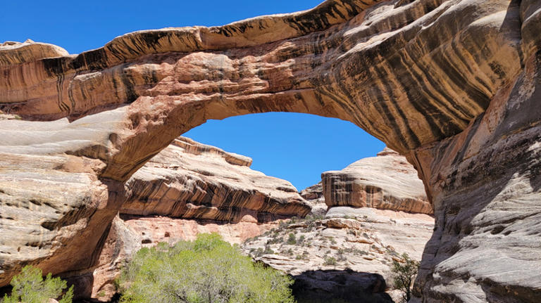 America's 5 longest natural bridges that don't skimp on stunning views