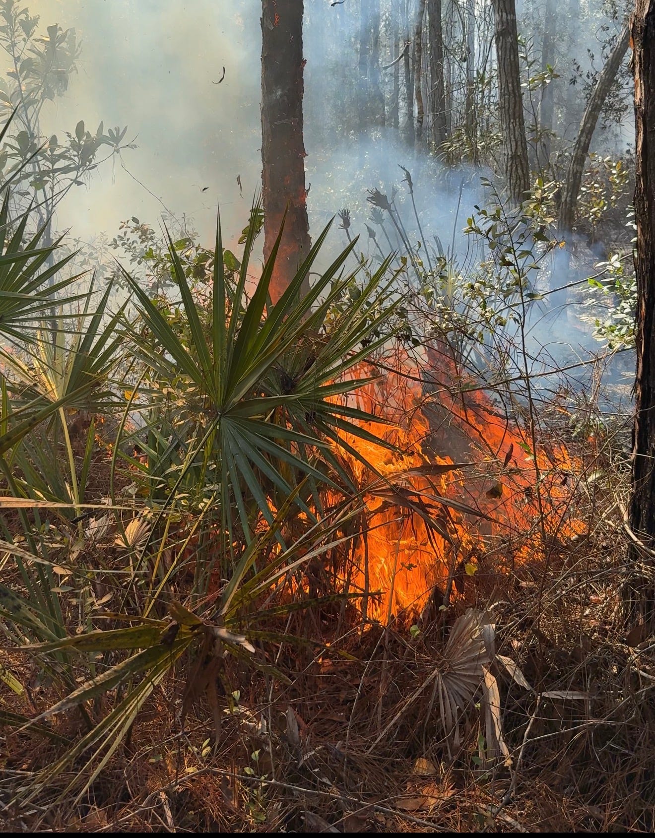 Area residents facing 'sensitive or near critical' fire conditions