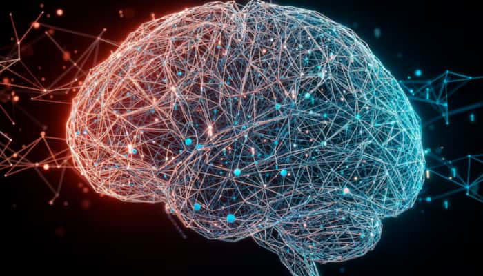 MRI scans show exercise can make the brain look younger: Study
