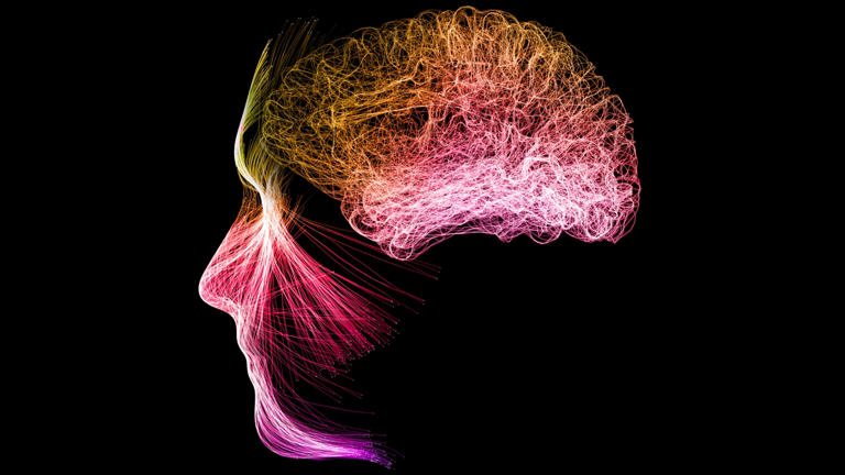 Meditation can reshape your brain activity, study reveals