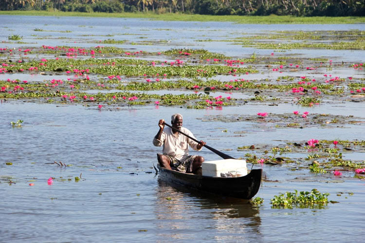 Exploring the backwater wonderlands of Kerala, India