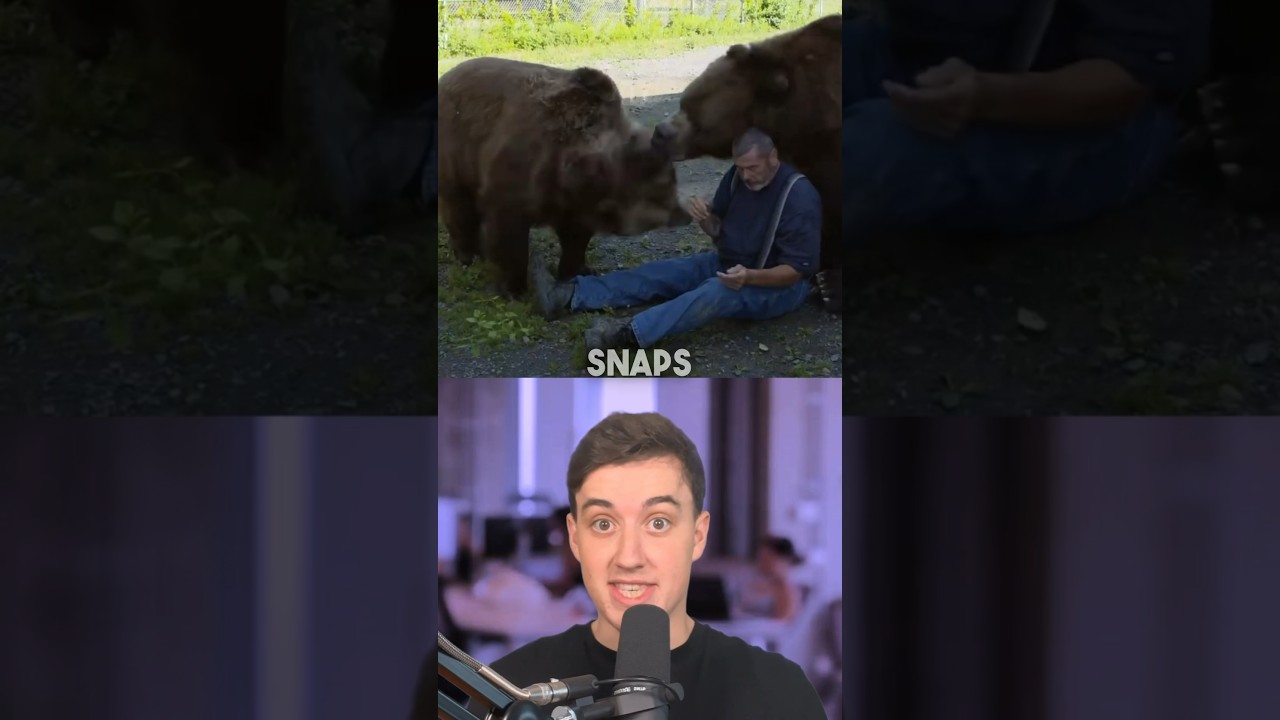 Couple cares for 11 bears and shares their daily routine