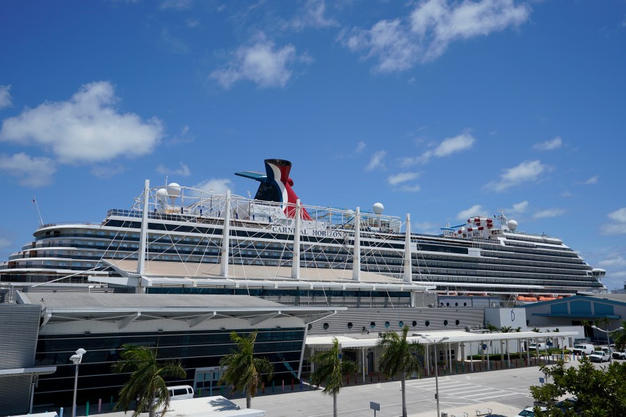 Florida teen suspected in stepsister’s cruise ship death appears in court: report<br><br>
