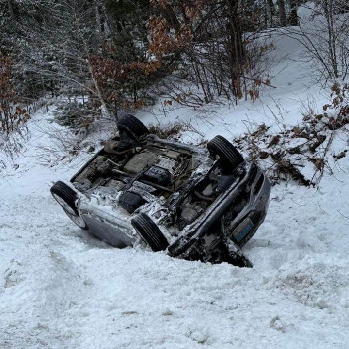 Downed trees, wires, road closures reported as windy, snowy, cold ...