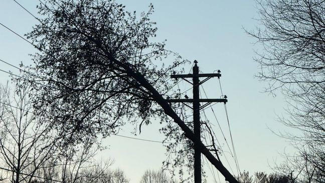 High winds trigger power outages across the ABC13 area