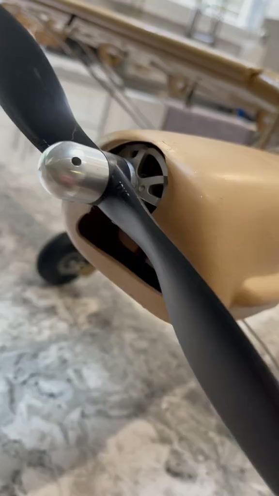 Scoring a rare RC Storch for 100 dollars at an Atlanta hobby shop
