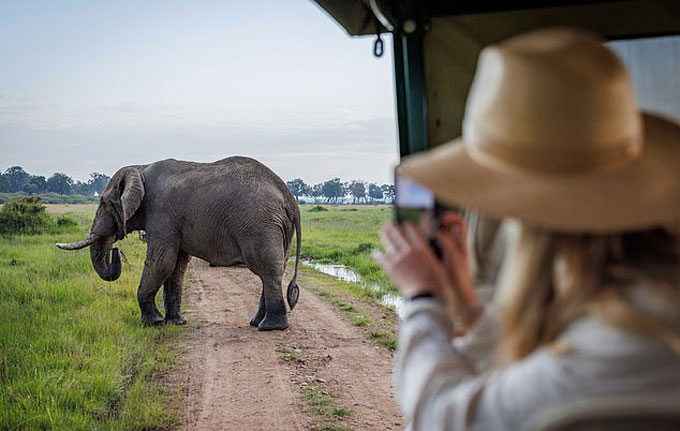 Nhảy xuống sông để trốn đàn voi, người đàn ông bị cá sấu cắn chết