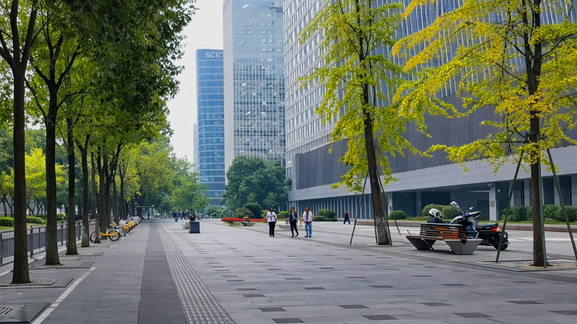 成都の並木道と高層ビルに囲まれた歩道