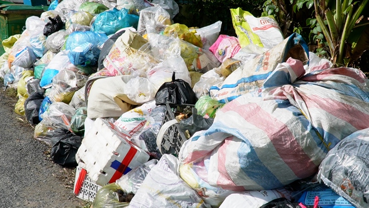 Dân xoay sở ra sao khi một số phường ở Cà Mau dừng thu gom rác 3 ngày Tết?