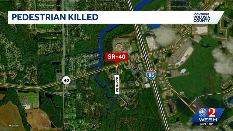 FHP: Ormond Beach man struck, killed by truck driver who thought he hit ...
