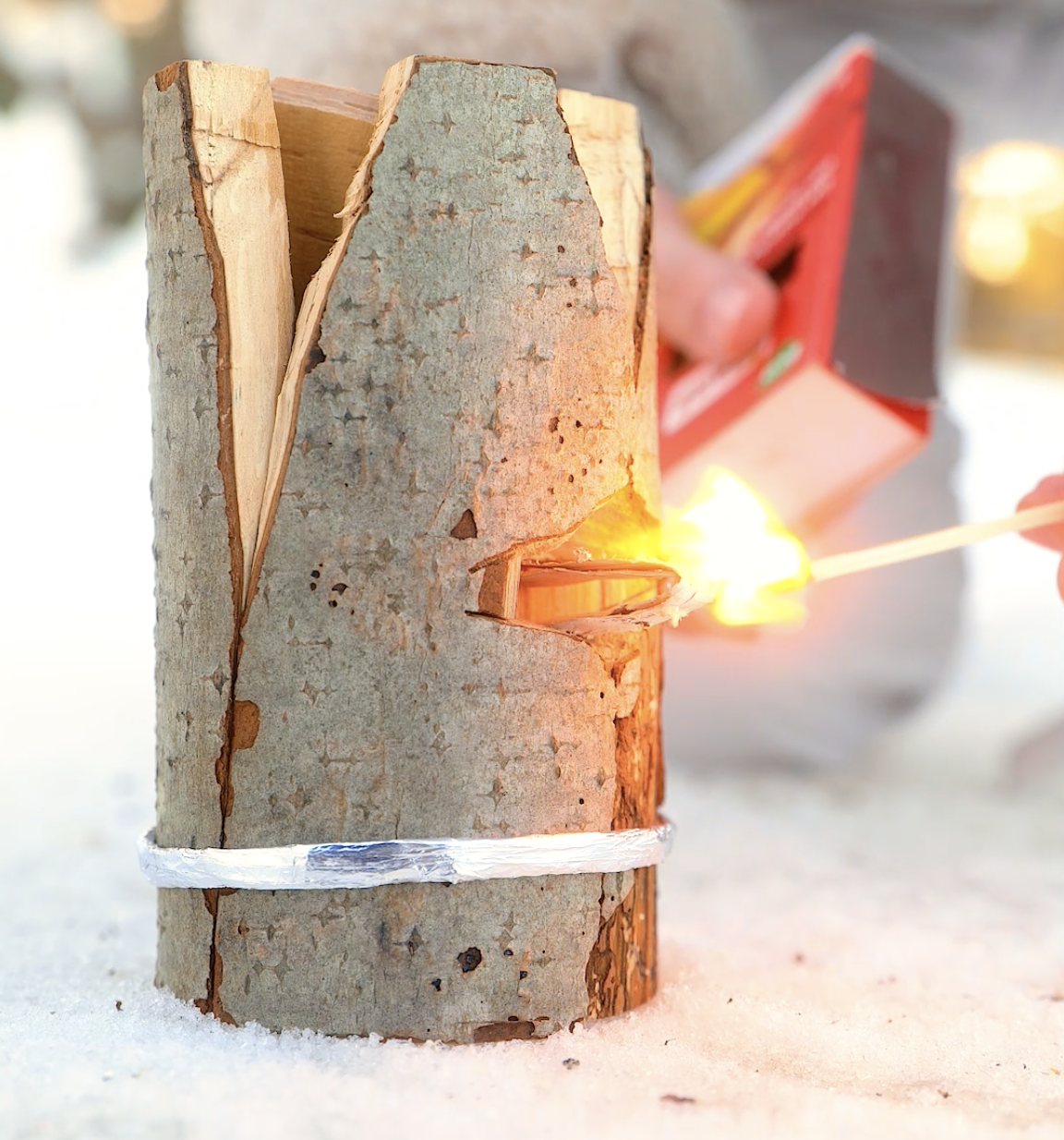 Surviving the chill: A girl's adventure in the frozen forest