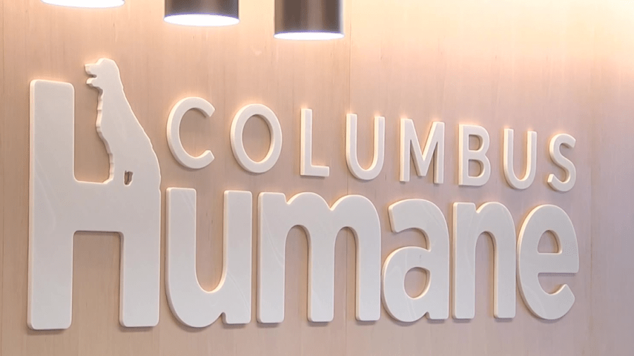 Columbus Humane CEO speaks about viral abuse case