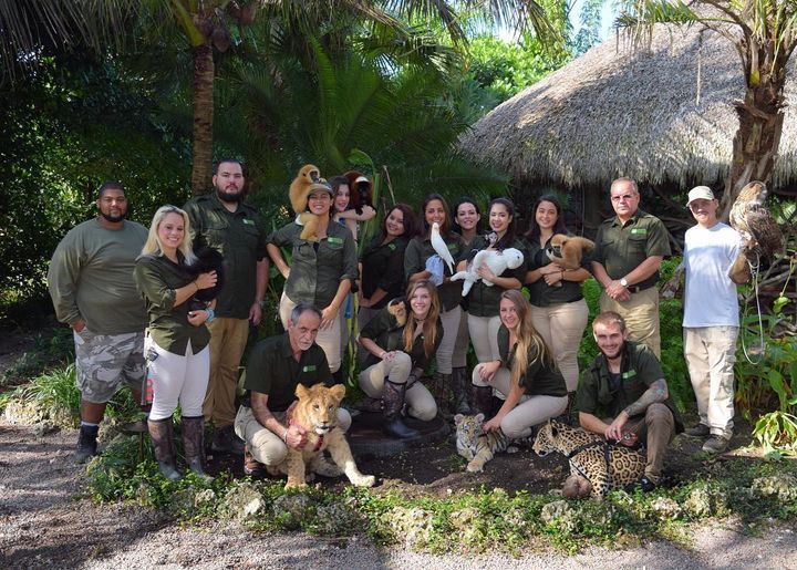 They saved a baby chimp. That hug broke the internet