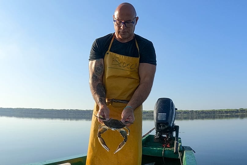 Cannibalistic jellies and aggressive blue crabs: Invasive species ...