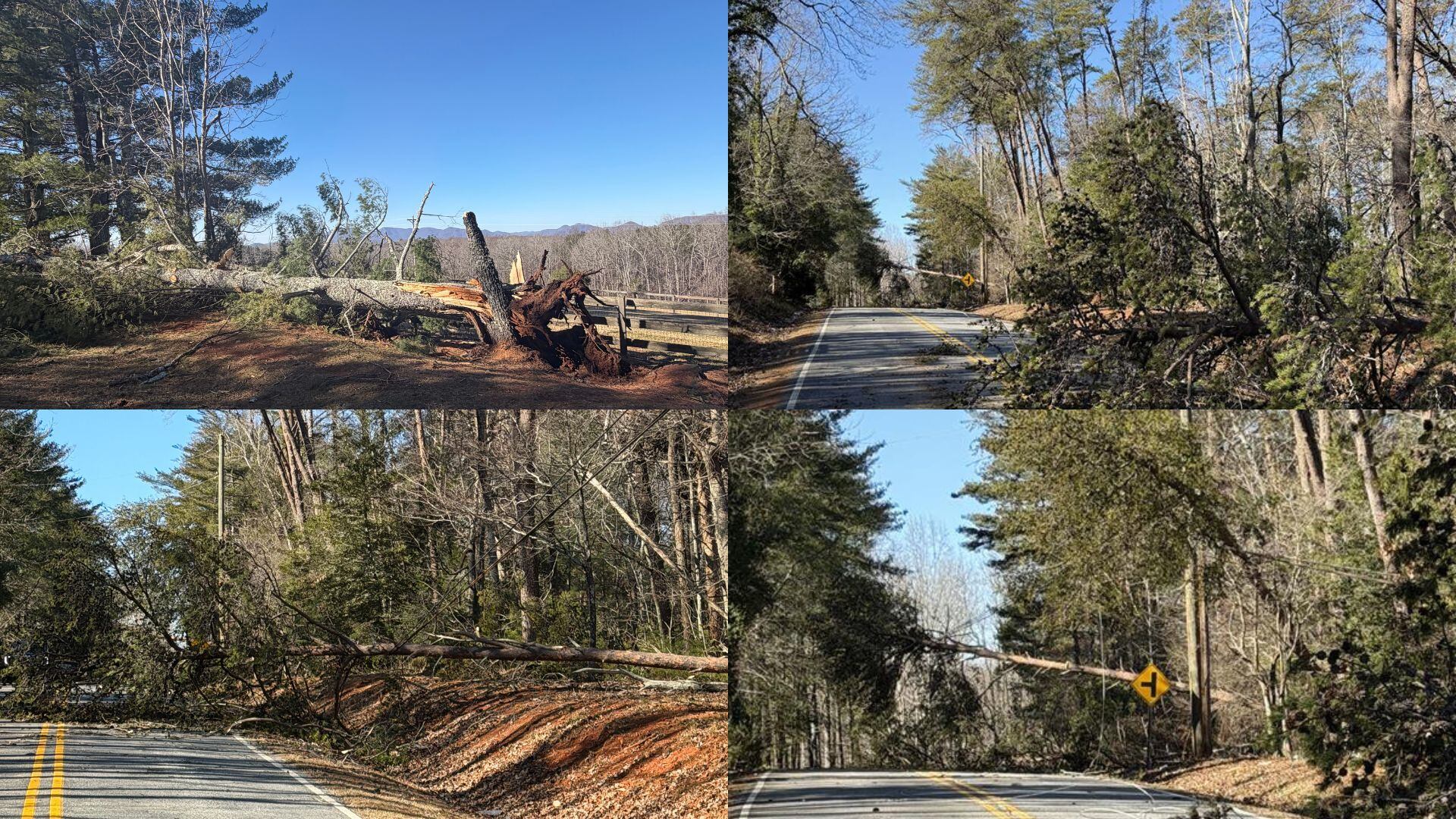Power restored as strong winds bring down trees, cause road closures in ...