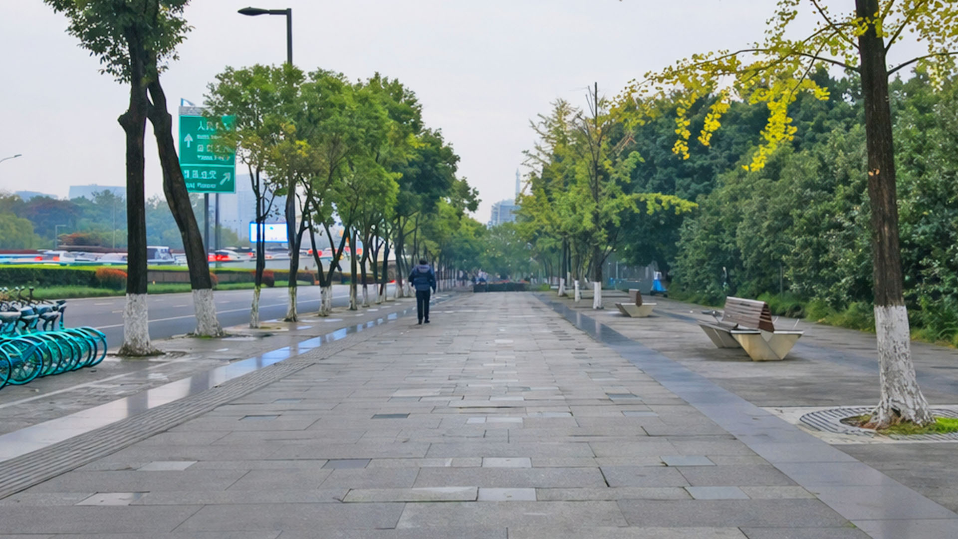 中国・成都の並木とベンチがある歩道