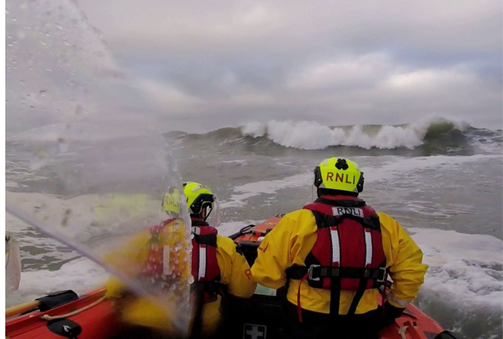 Crews who rescued dog from freezing sea at Seacliff Beach recognised ...