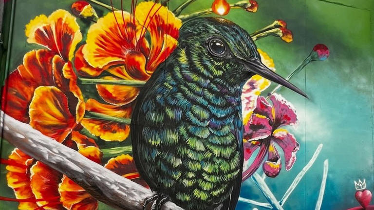 San Juan's walkable neighborhood is an artsy enclave with tree-lined ...