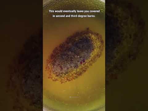 Imagine jumping into a giant pool filled with stomach acid