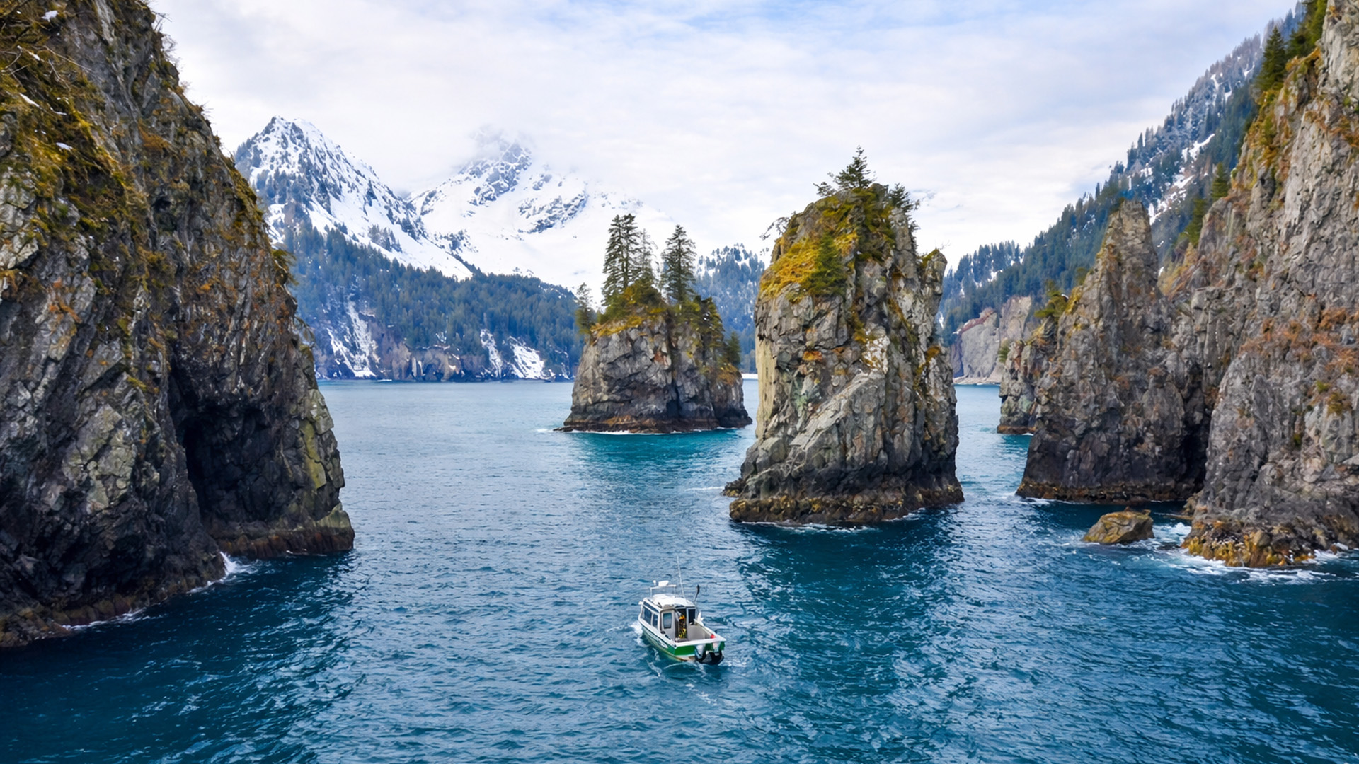 Ocean and glaciers converge within Kenai Fjords National Park