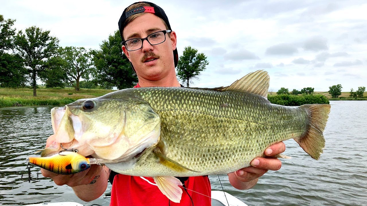 Summer bass grind produces consistent trophy catches for anglers