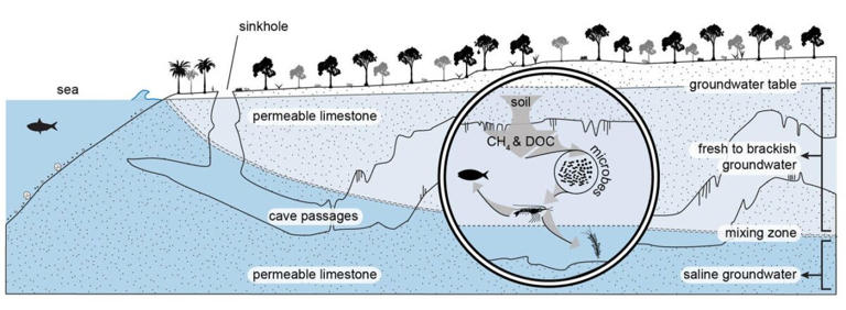 This hidden cave system in Mexico just reclaimed the title of the world ...
