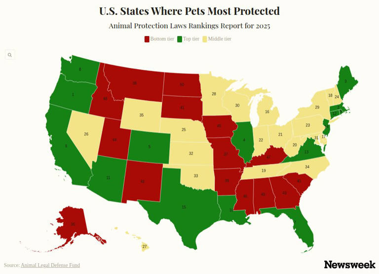 Map of US reveals states where pets most protected