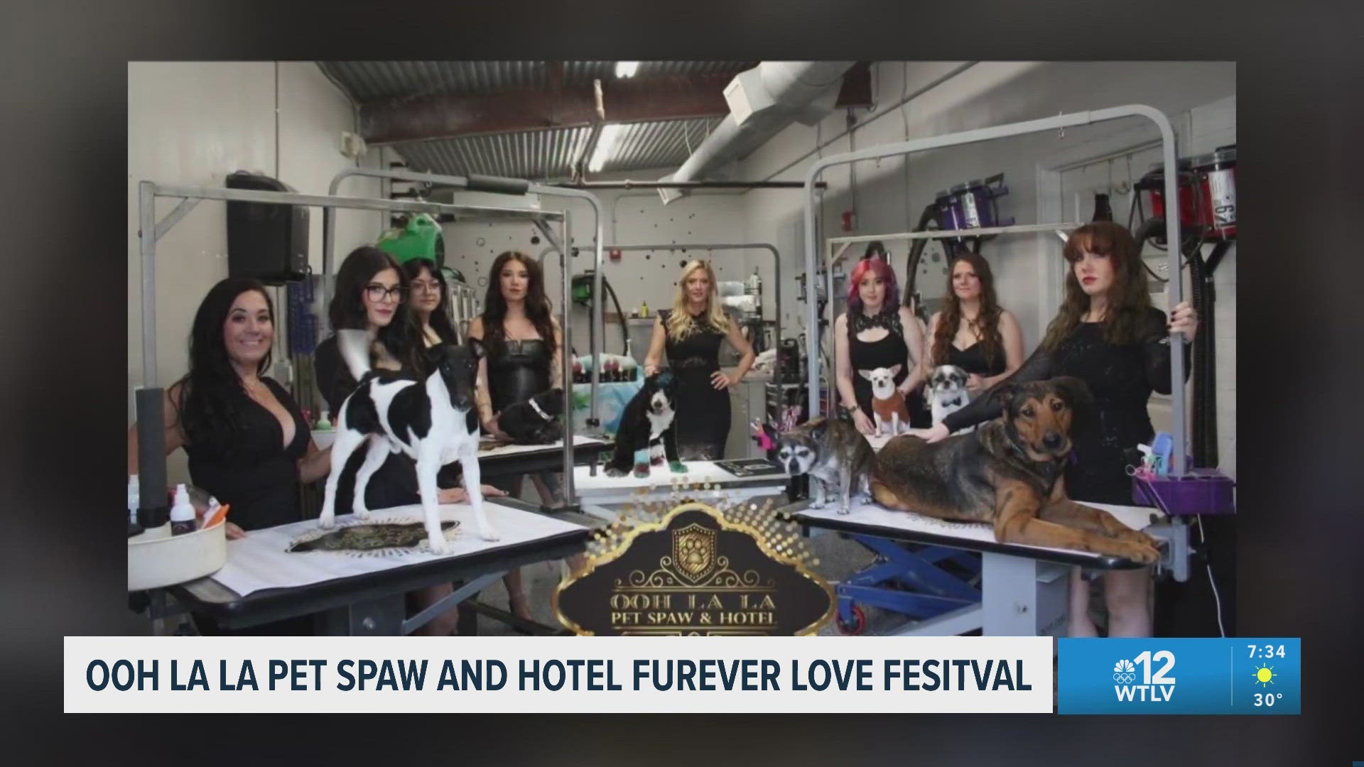 Ooh La La Pet Spaw and Hotel Furever Love Festival