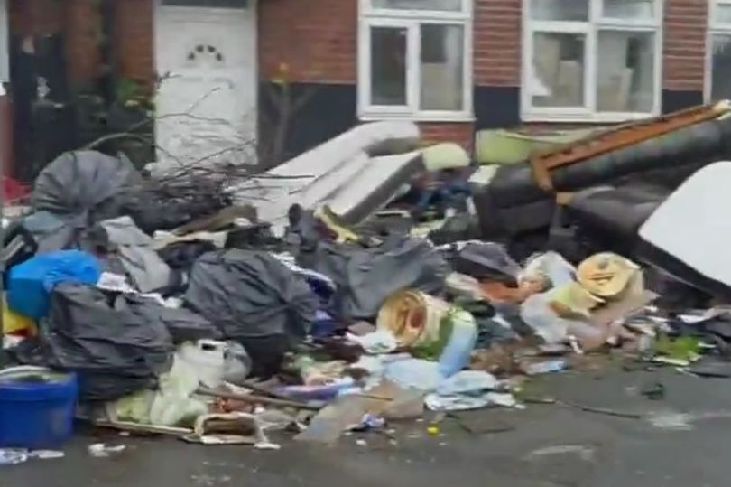 Birmingham branded 'third world' as campaign launched to clean up city ...