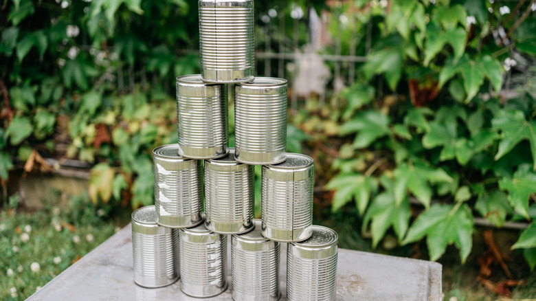 Transform old soup cans into an adorable DIY vertical garden for small ...
