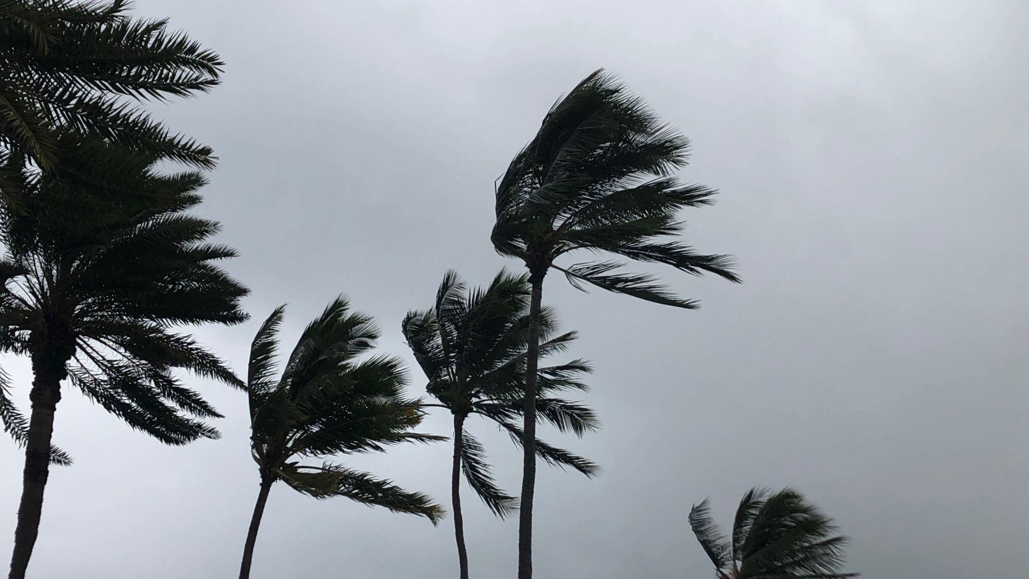 Wind advisory posted for most islands as gusty trades increase