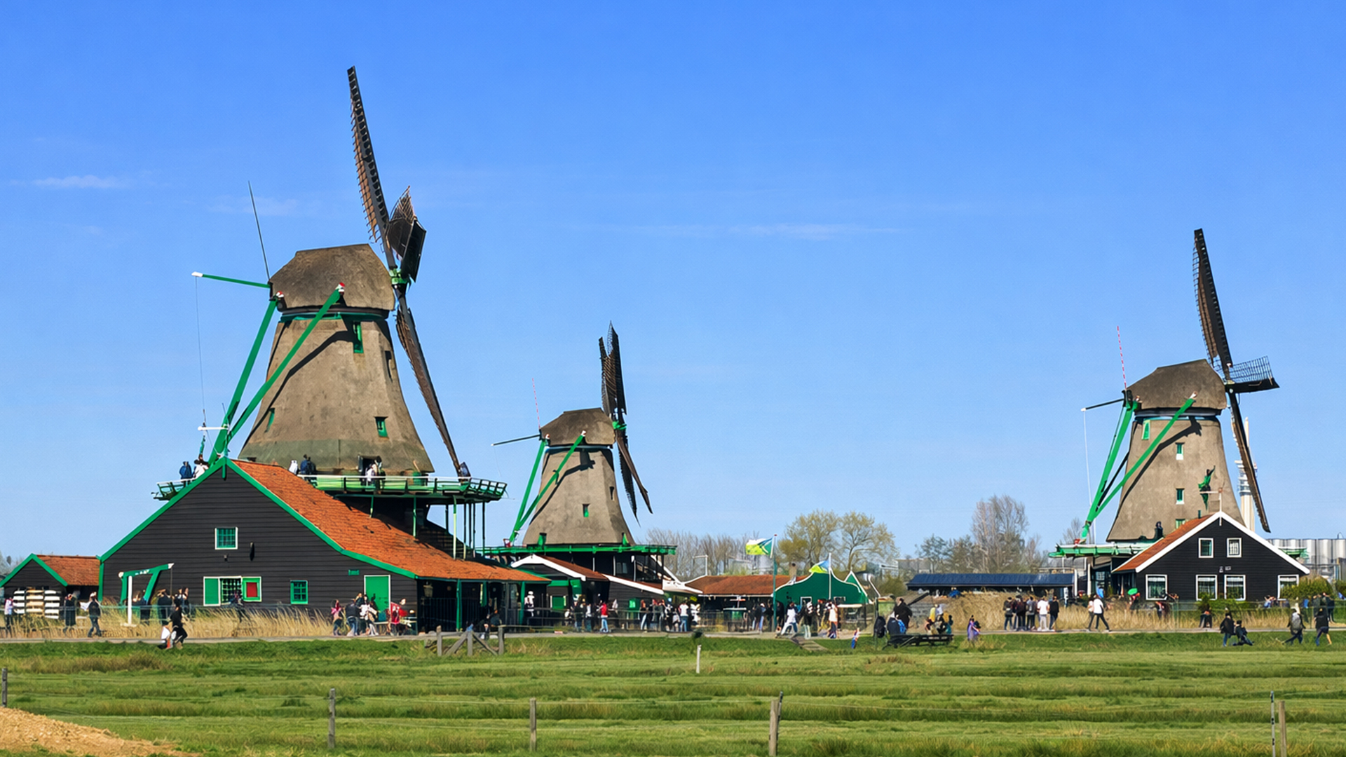 Zaanse Schans Dutch windmill village in spring (4K)
