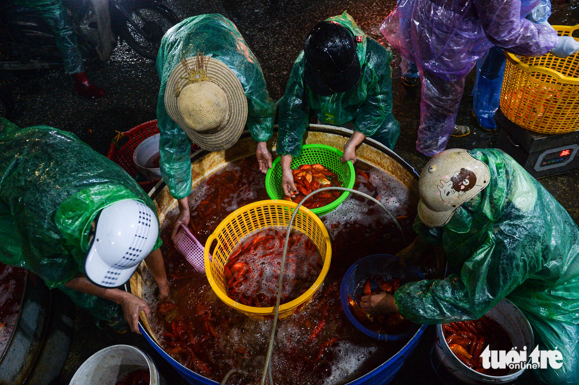 Cảnh tấp nập xuyên đêm ở chợ cá lớn nhất Hà Nội trước ngày ông Công ông Táo