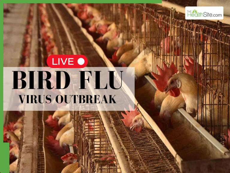 Bird flu outbreak 2026 LIVE: Puducherry issues high alert; Andhra ...