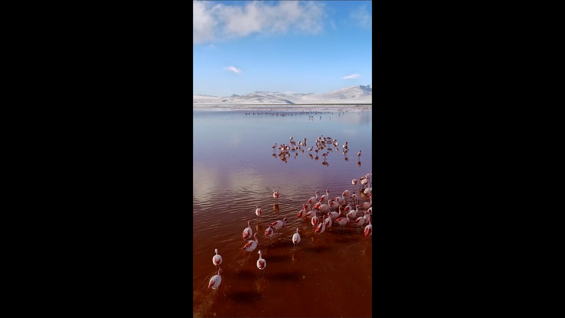Laguna Colorada : vue aérienne du lac rouge de Bolivie