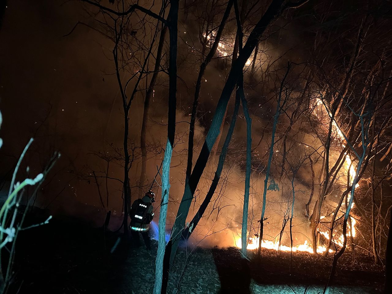 鎮火したかと思いきや…韓国・慶州文武大王面の山火事が再燃