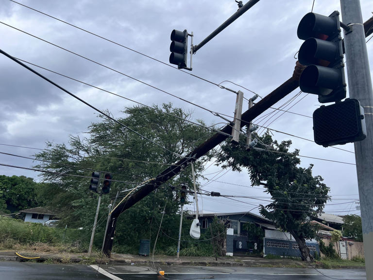 Downed trees, power outages from powerful winds reported across Hawaii