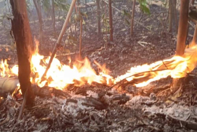 Fire erupts near Penang Hill, quickly contained