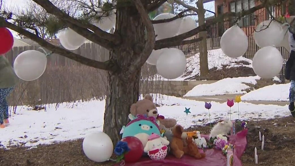 Mother, boyfriend to be detained in death of 8-year-old boy in Round ...