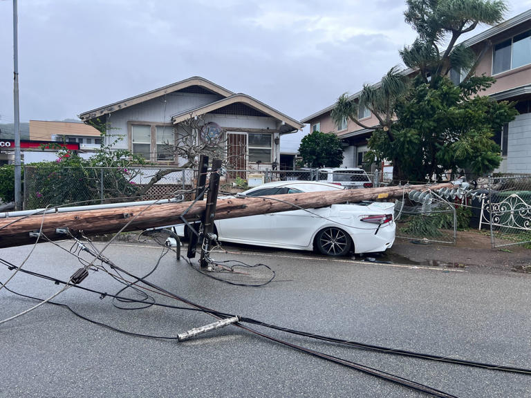 Downed trees, power outages from powerful winds reported across Hawaii