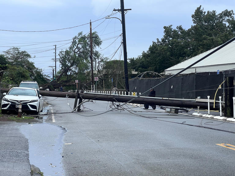 Downed trees, power outages from powerful winds reported across Hawaii