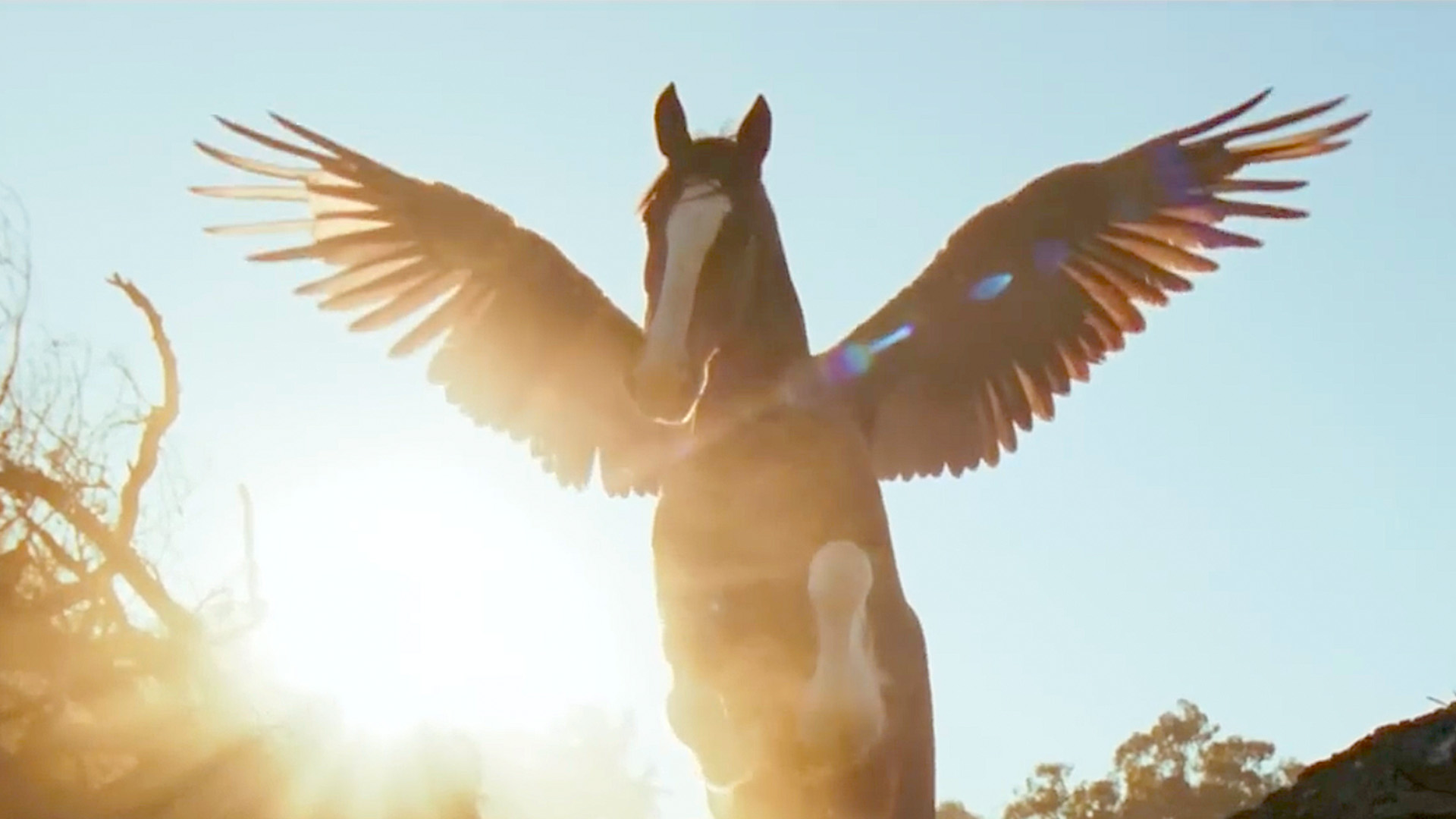 Budweiser's Super Bowl LX commercial “American Icons” | Watch