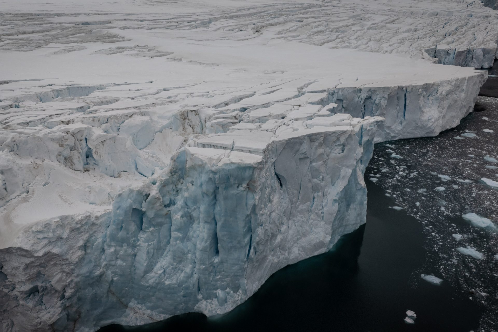 Waarom stort hij in?