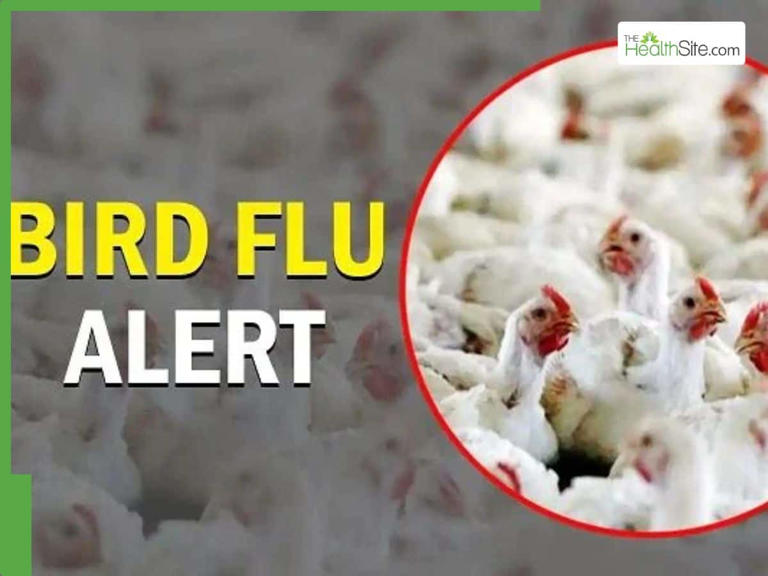 Bird flu alert in India: Can bird flu trigger a new pandemic?
