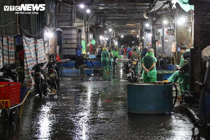 Giá cá chép tiễn ông Công ông Táo giảm, chợ lớn nhất Hà Nội vẫn vắng khách mua