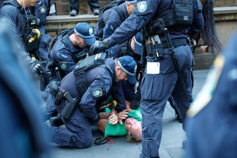 'Outrageous' protester behaviour slammed as cops accused of violence