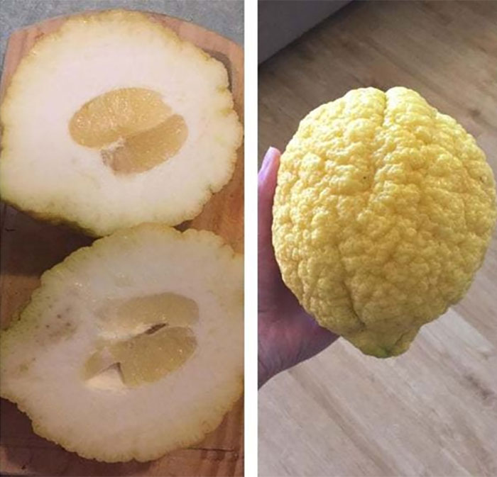 45 Upsetting Images Of ‘Mildly Infuriating’ Things