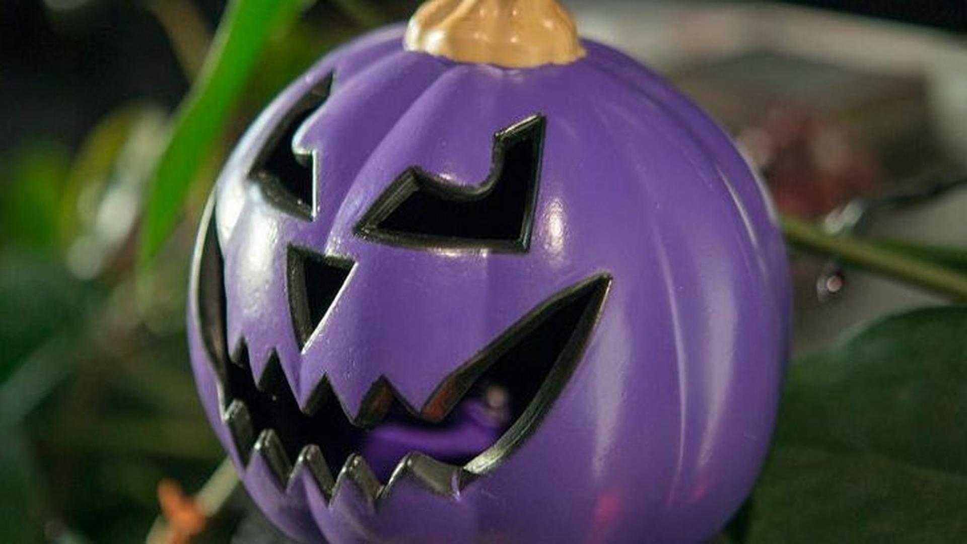 See a purple pumpkin on a porch? Here's what it really means, say ...